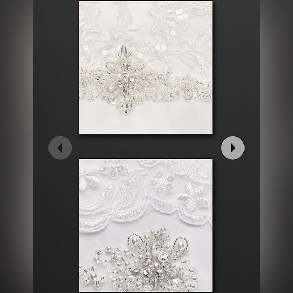 David’s Bridal Lace & Organza Petite Wedding Ball Gown - Picture 4 of 7